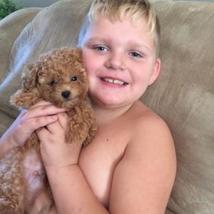 Meet your Posher, Dylan